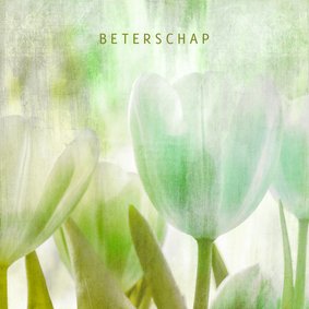 Beterschapskaart tulpen mint groen