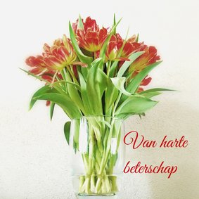 beterschapskaart vaas tulp - LB