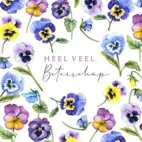 Beterschapskaart viooltjes