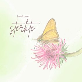 Beterschapskaart - Vlinder op klaverbloem