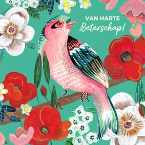 Beterschapskaart vogel met bloemen kleurrijk