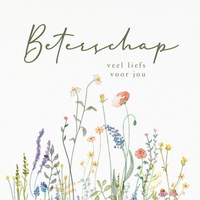 Beterschapskaart wilde bloemen beterschap