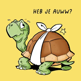 Beterschapskaartje met schildpad 'heb je auw?'