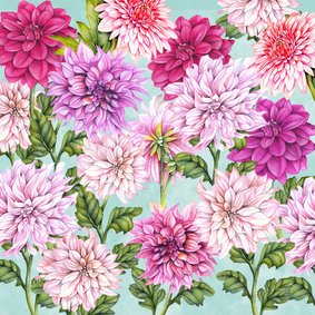 Bloemen dahlia