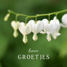 Bloemenkaart groetjes met foto van wit gebroken hartje