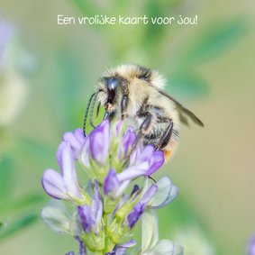 Bloemenkaart met paarse bloem en mooie hommel