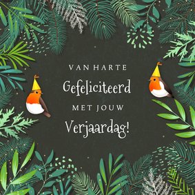  Botanische verjaardagskaart roodborstjes met feestmuts op