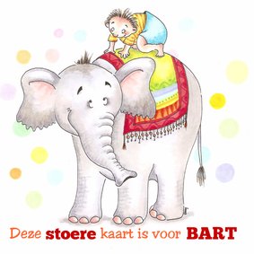 Carlo op de olifant