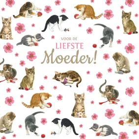 Collage kittens en bloemen voor moederdag