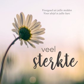 Condoleance - foto bloem veel sterkte