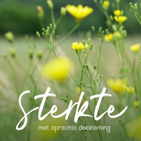 Condoleance - gele bloemen sterkte 