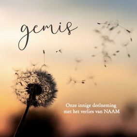 Condoleance - gemis met naam