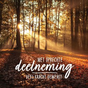 Condoleance - herfst bos met oprechte deelneming