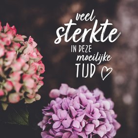 Condoleance hortensia met bemoedigende tekst 