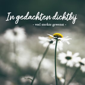 Condoleance - in gedachten dicht bij jullie