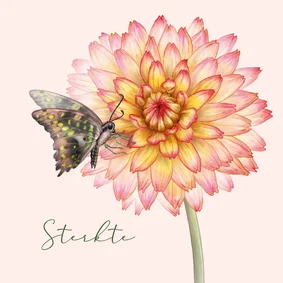 Condoleance kaart dahlia vlinder bloem