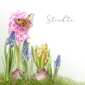 Condoleance kaart vlinder bloemen voorjaar
