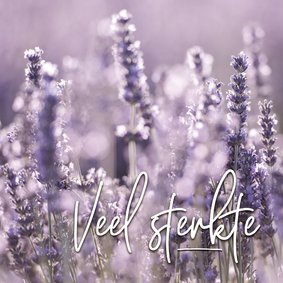 Condoleance - lavendel veel sterkte