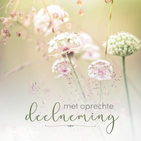 Condoleance - met oprechte deelneming bloemen 2