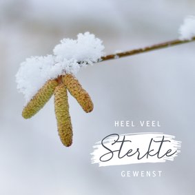 Condoleance sterkte kaart met foto van bloeiende hazelaar