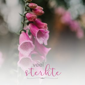 Condoleance - veel sterkte bloemen 