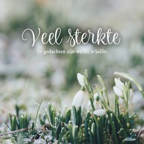 Condoleance - veel sterkte met sneeuwklokje 