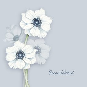 Condoleance witte anemonen