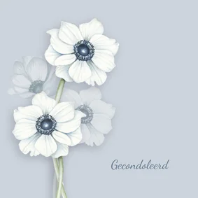 Condoleance witte anemonen