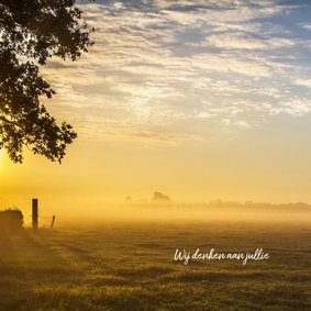 Condoleance zonsopkomst kleur