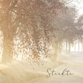 Condoleancekaart bomen in de mist