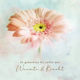 Condoleancekaart gerbera bloem sfeer pastel