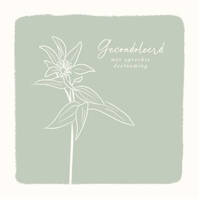 Condoleancekaart groen met lijntekening van bloem