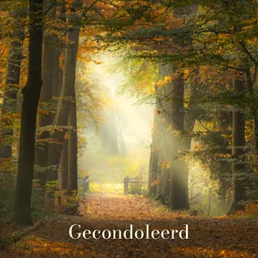 Condoleancekaart herfst zonnestralen
