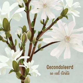 Condoleancekaart 'Magnolia'
