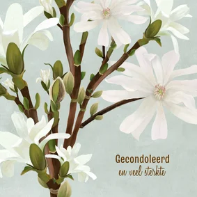 Condoleancekaart 'Magnolia'