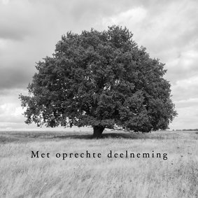Condoleancekaart met eikenboom zwart-wit