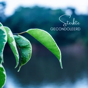 Condoleancekaart met groene bladeren en rustgevende natuur 