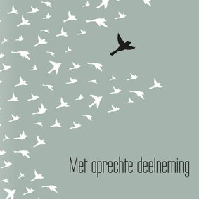 Condoleancekaart 'Met oprechte deelneming' vogels