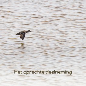 Condoleancekaart met vliegende eend op zee