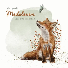 Condoleancekaart met vos en vlinder