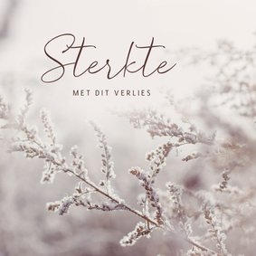 Condoleancekaart met winterse natuurfoto