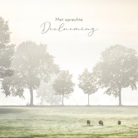 Condoleancekaart nevelig weidelandschap