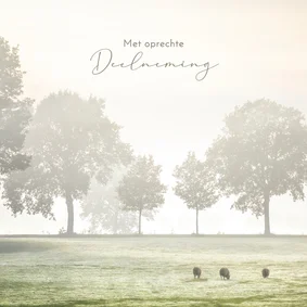 Condoleancekaart nevelig weidelandschap