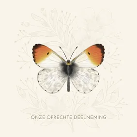 Condoleancekaart oranjetipje vlinder