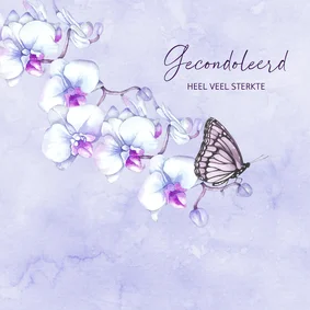 Condoleancekaart orchidee vlinder