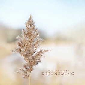 Condoleancekaart riethalm met neutrale achtergrond beige