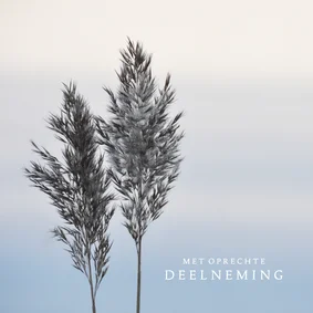 Condoleancekaart riethalmen met neutrale achtergrond