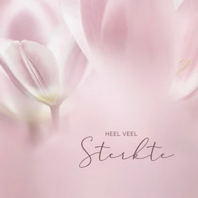 Condoleancekaart roze tulpen