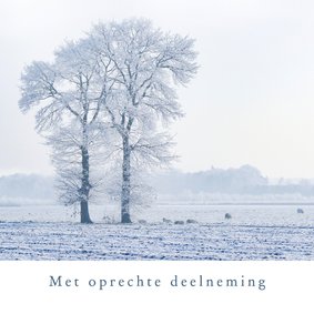 Condoleancekaart sneeuwlandschap bomen