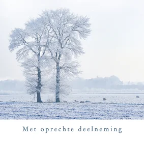 Condoleancekaart sneeuwlandschap bomen